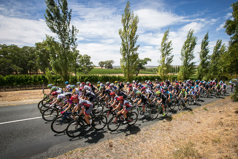 The peloton in stage one of the Santos Women's Tour.