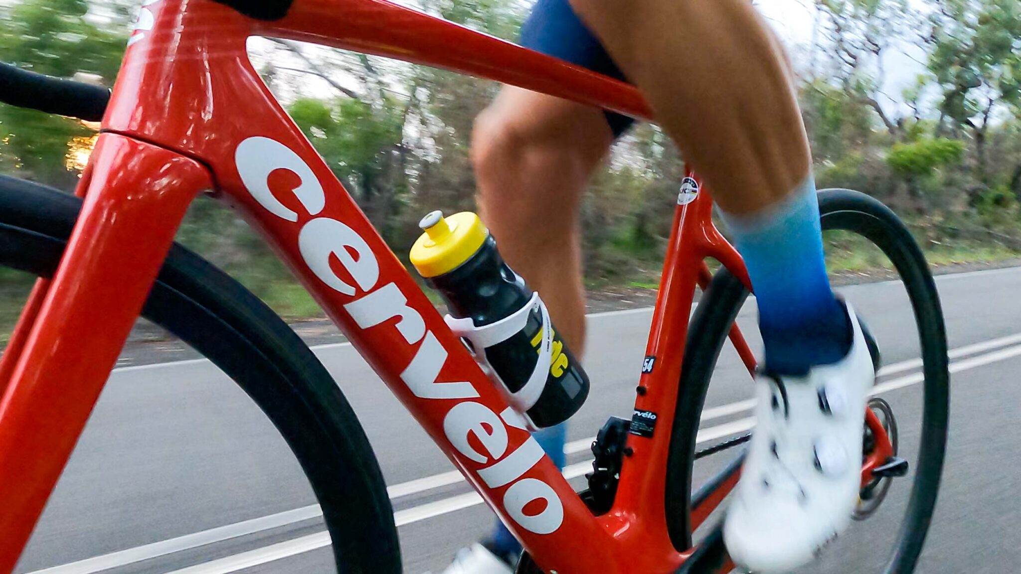 cervelo focus